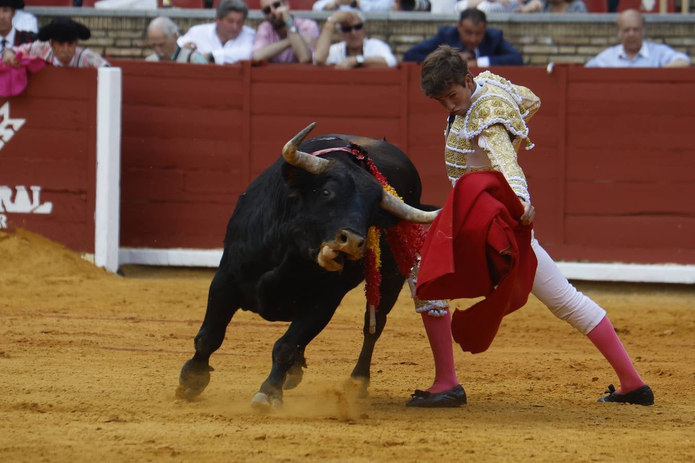 La novillada de Quintana, Zulueta y Fuentes Bocanegra en Córdoba, en imágenes