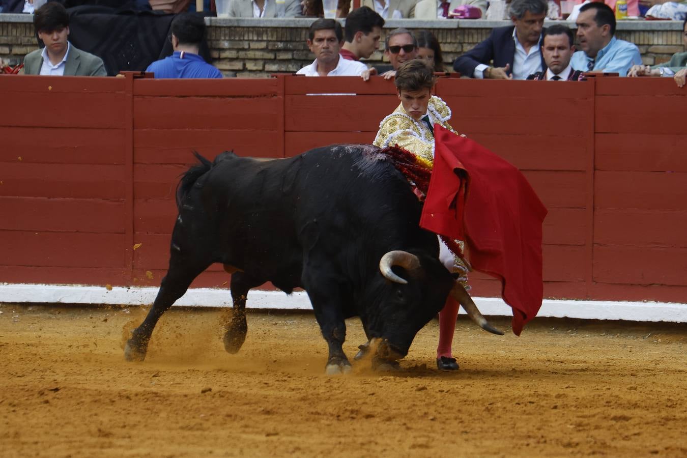 La novillada de Quintana, Zulueta y Fuentes Bocanegra en Córdoba, en imágenes