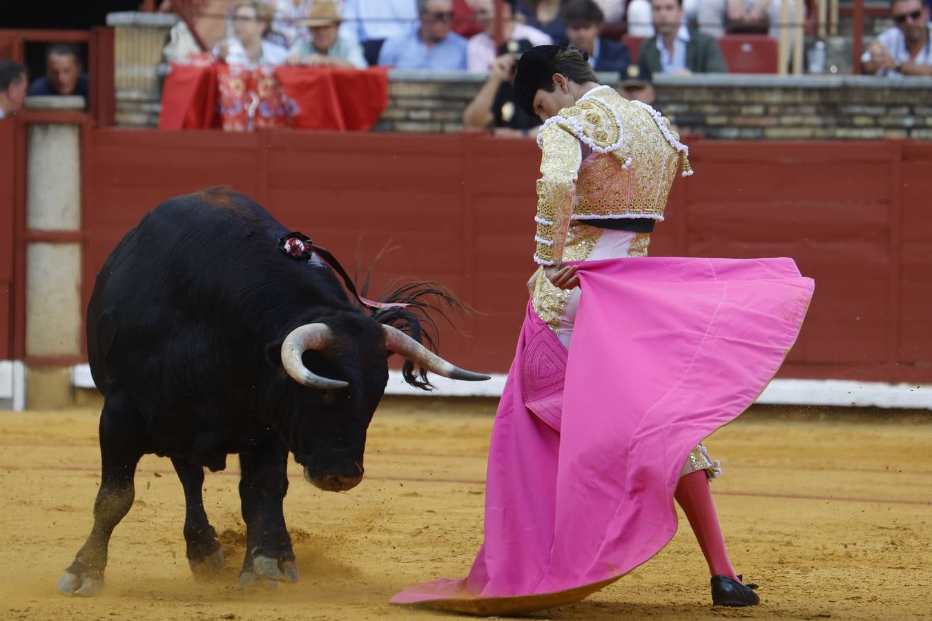 La novillada de Quintana, Zulueta y Fuentes Bocanegra en Córdoba, en imágenes