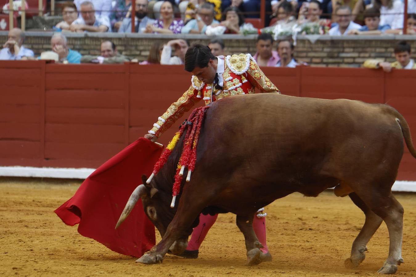La novillada de Quintana, Zulueta y Fuentes Bocanegra en Córdoba, en imágenes