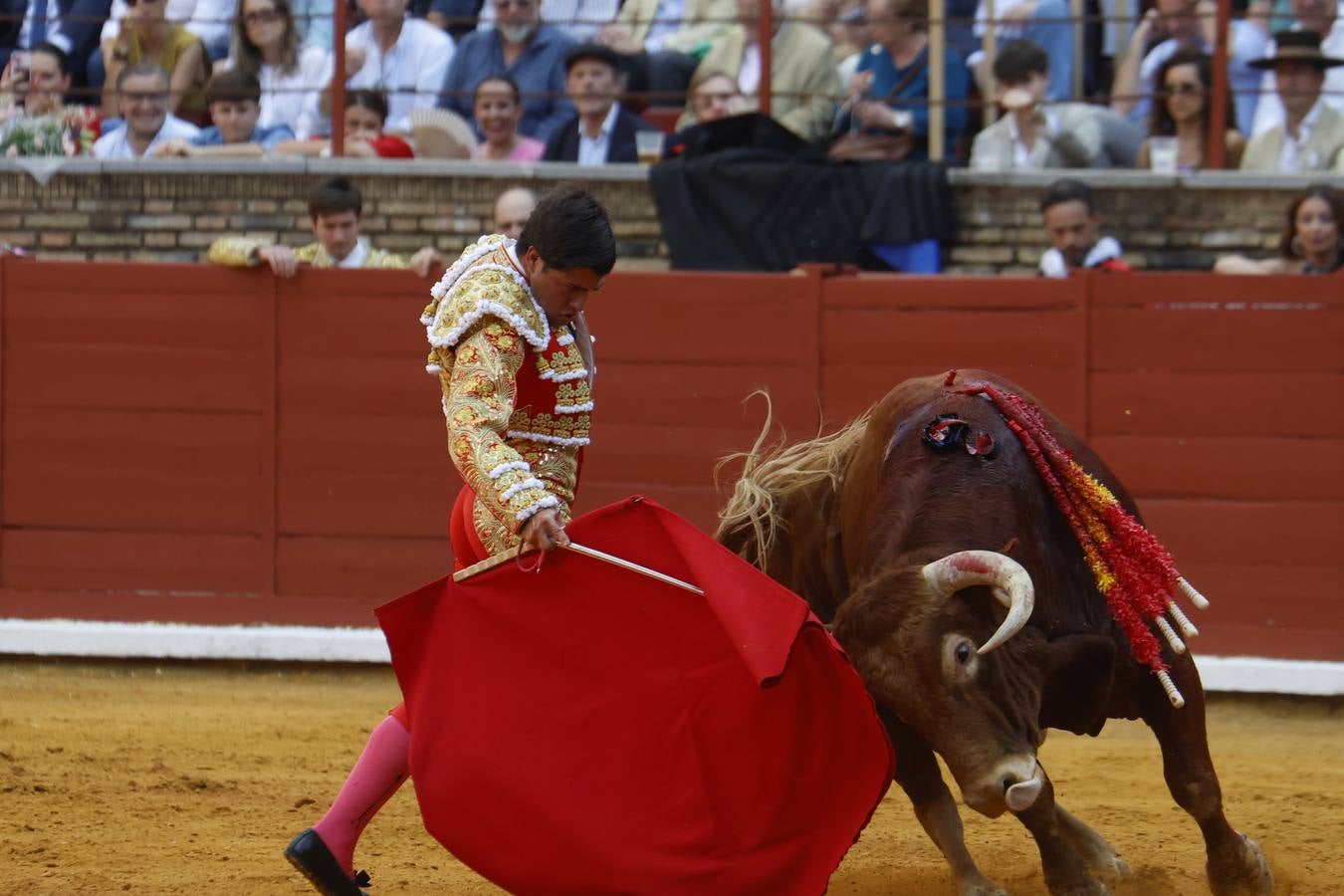 La novillada de Quintana, Zulueta y Fuentes Bocanegra en Córdoba, en imágenes