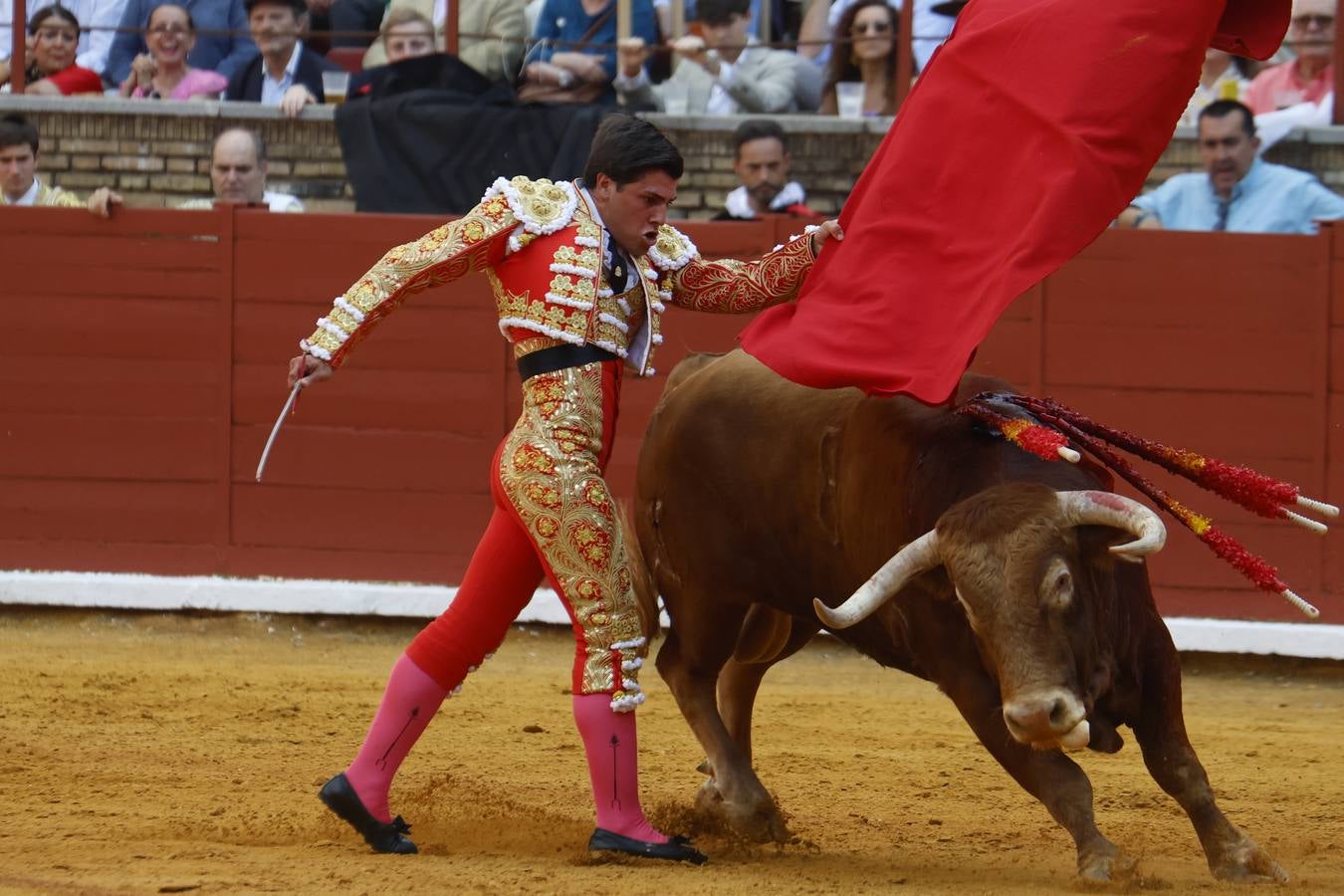 La novillada de Quintana, Zulueta y Fuentes Bocanegra en Córdoba, en imágenes