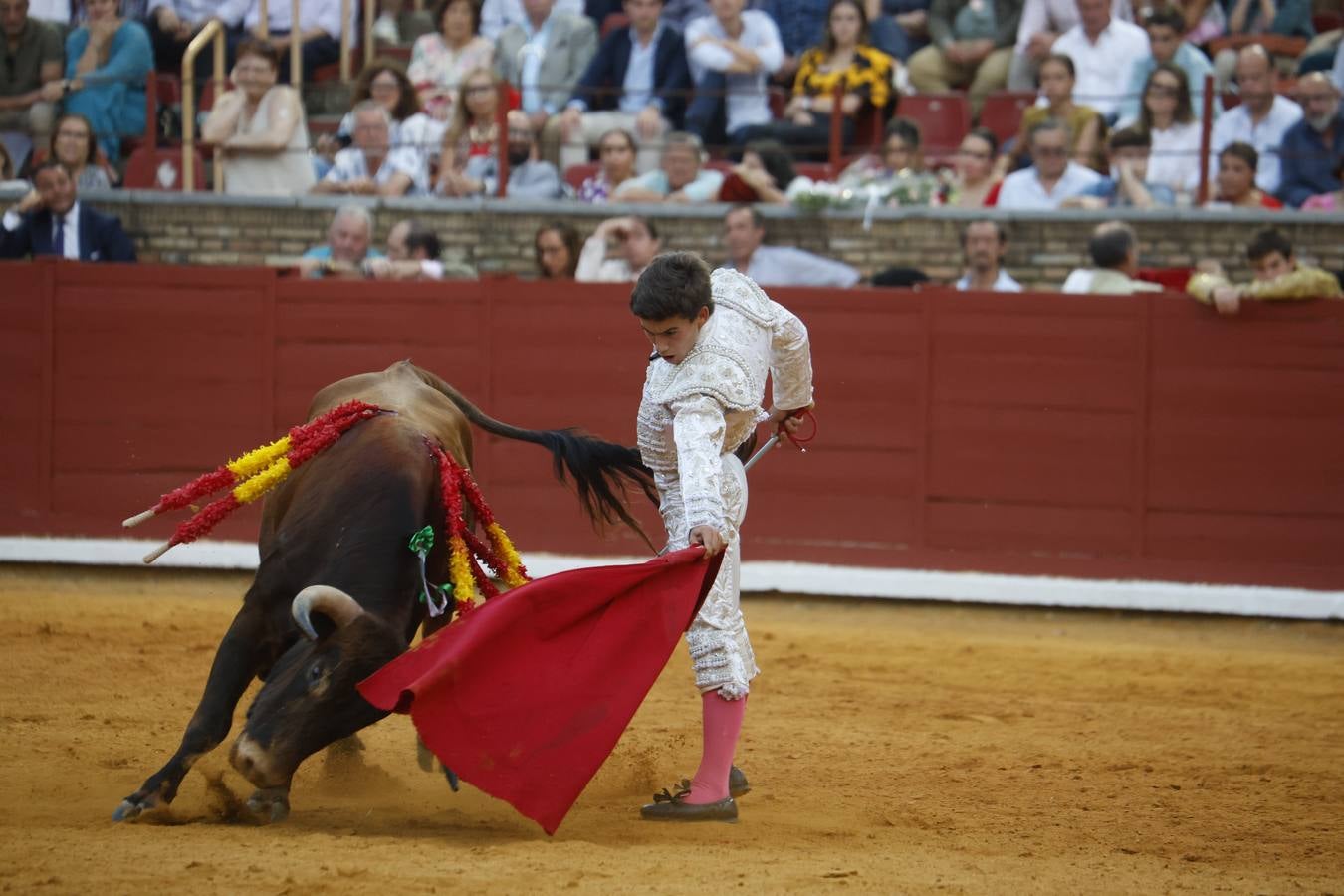La novillada de Quintana, Zulueta y Fuentes Bocanegra en Córdoba, en imágenes