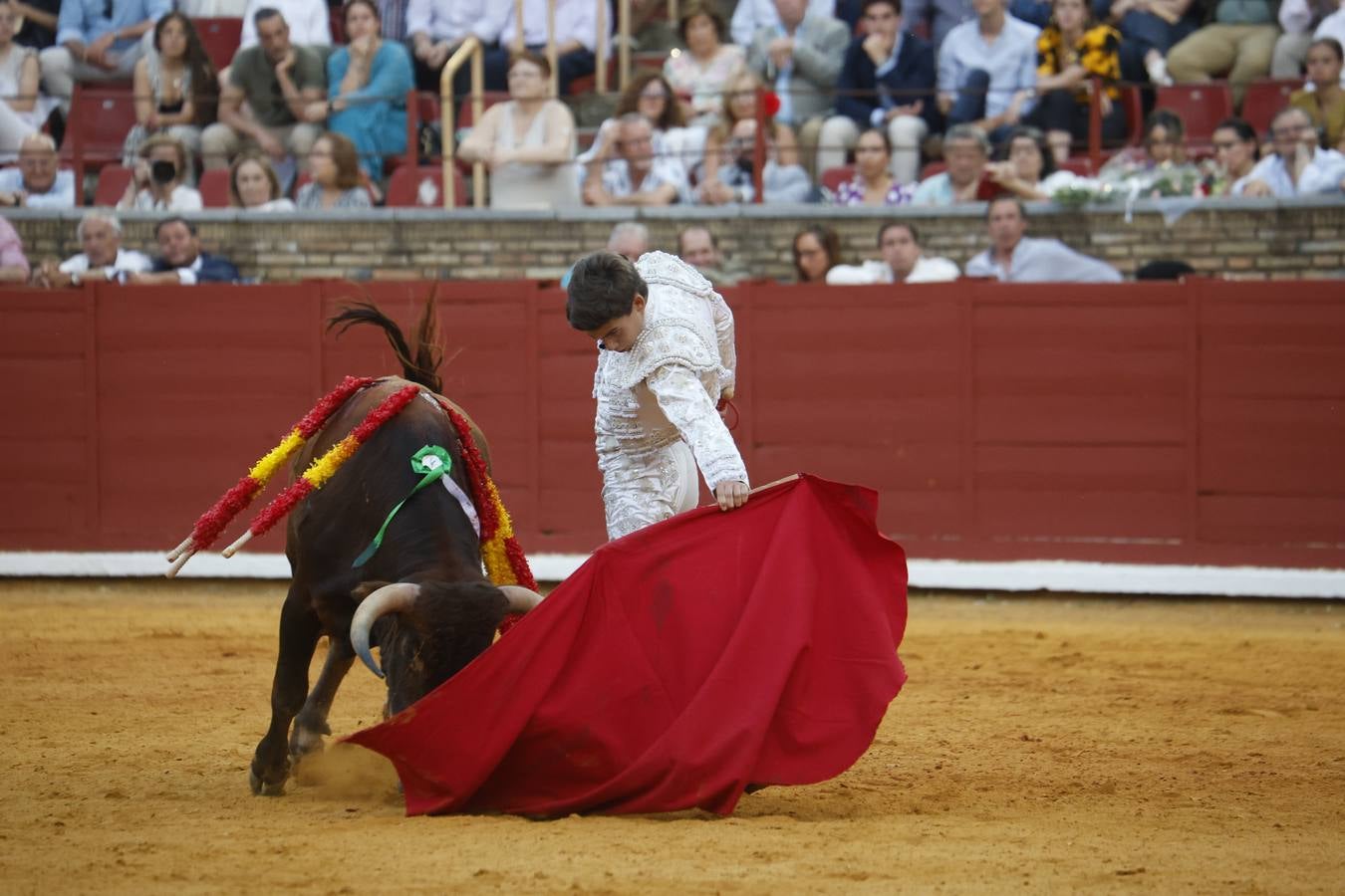 La novillada de Quintana, Zulueta y Fuentes Bocanegra en Córdoba, en imágenes