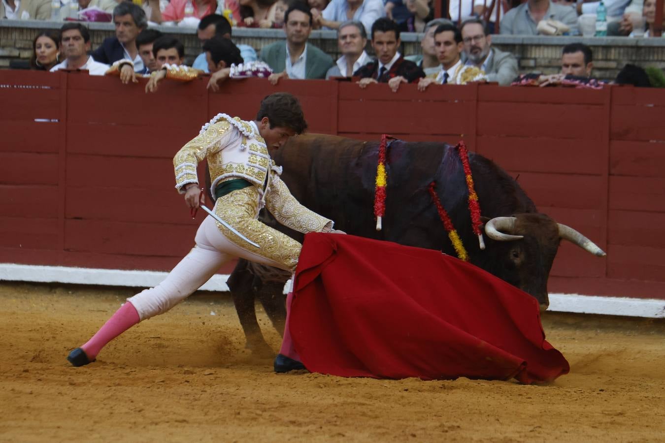 La novillada de Quintana, Zulueta y Fuentes Bocanegra en Córdoba, en imágenes