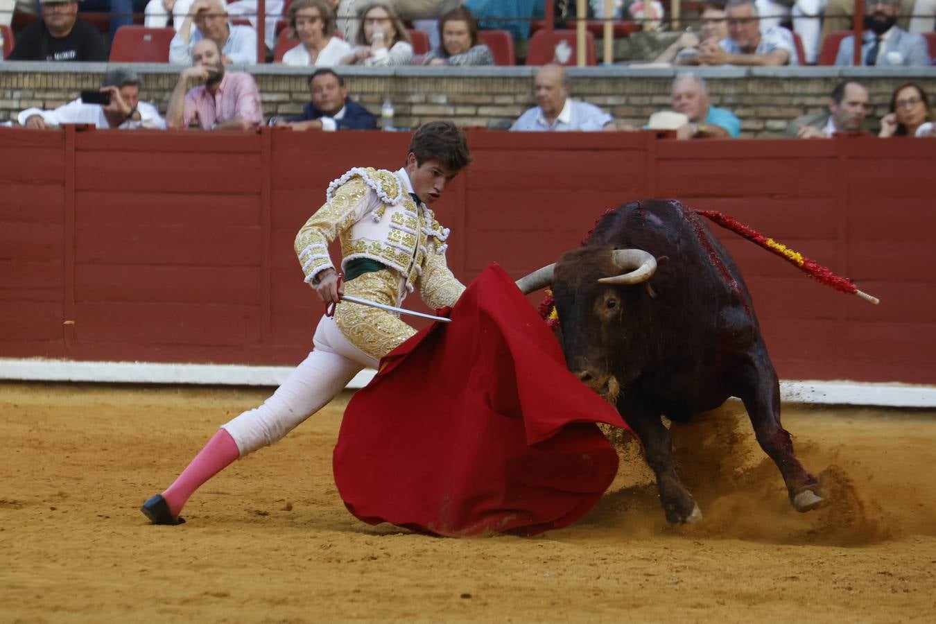La novillada de Quintana, Zulueta y Fuentes Bocanegra en Córdoba, en imágenes