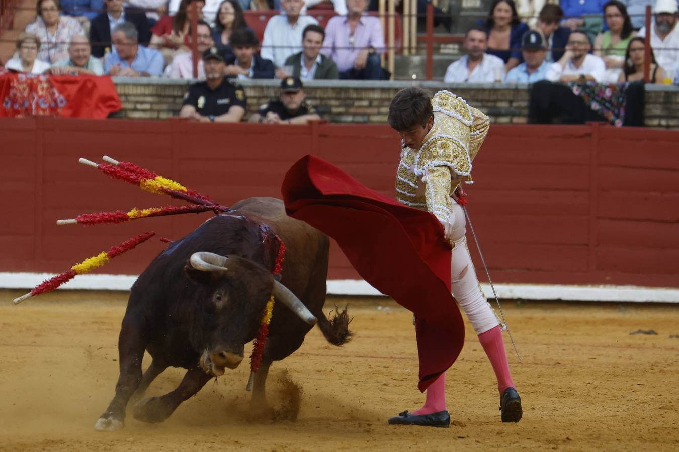 La novillada de Quintana, Zulueta y Fuentes Bocanegra en Córdoba, en imágenes