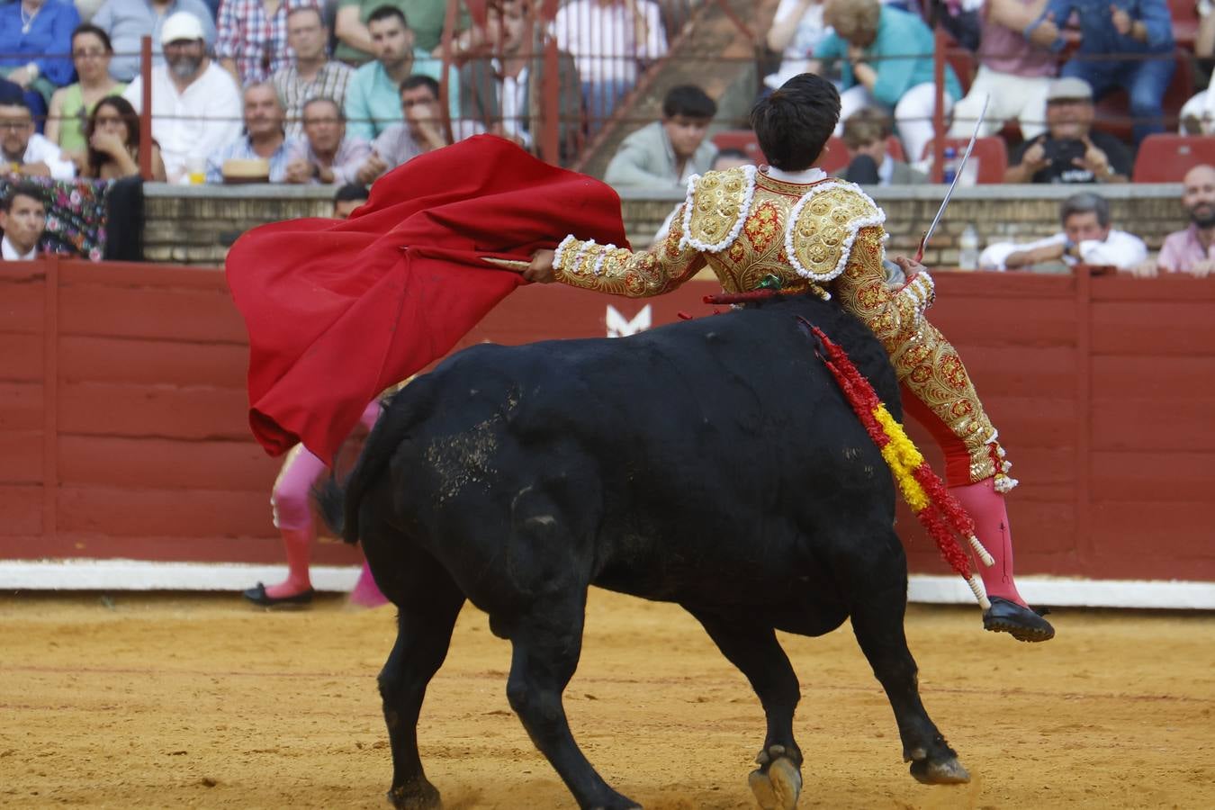 La novillada de Quintana, Zulueta y Fuentes Bocanegra en Córdoba, en imágenes