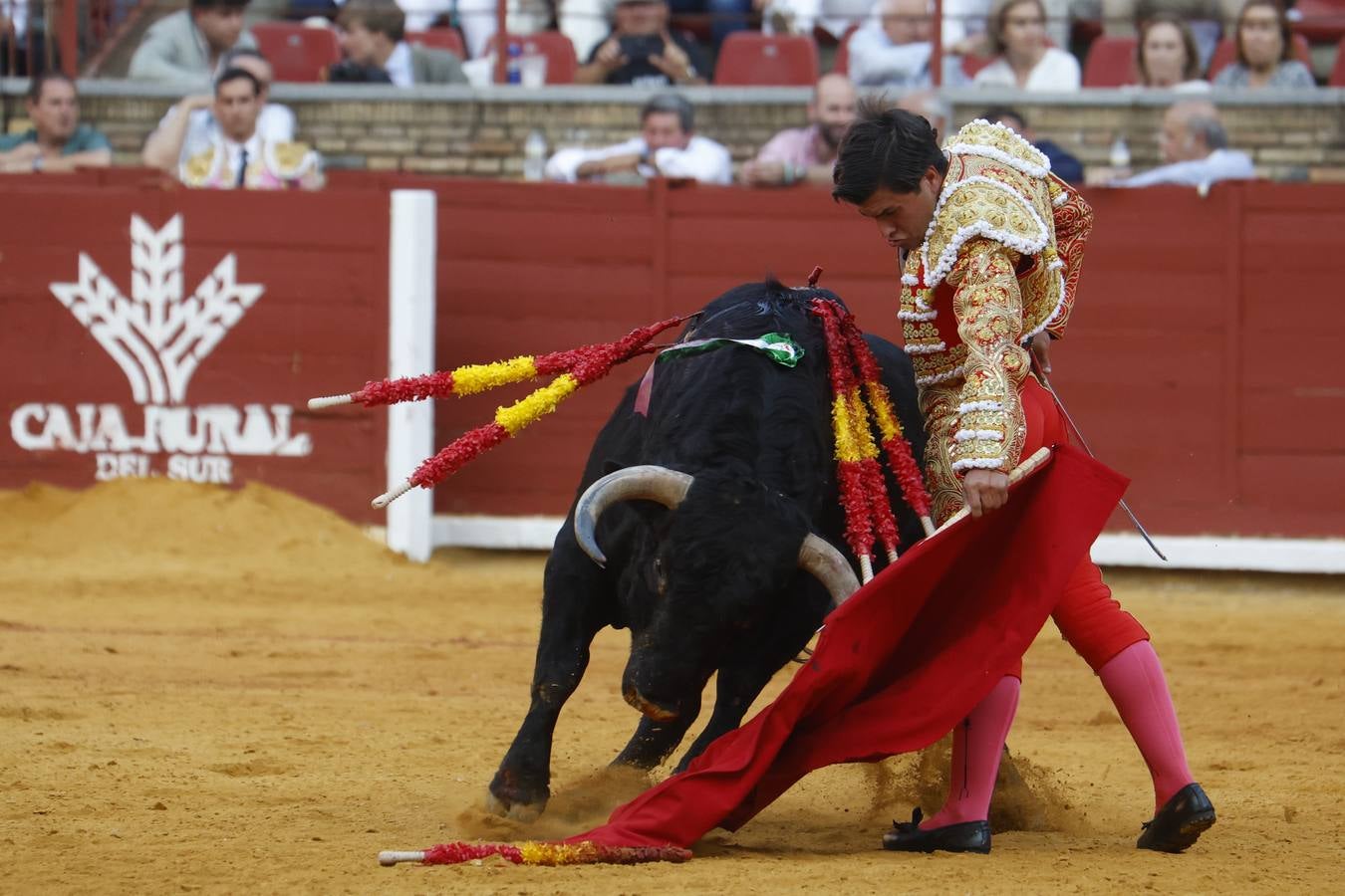 La novillada de Quintana, Zulueta y Fuentes Bocanegra en Córdoba, en imágenes