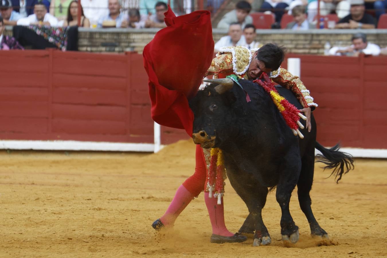 La novillada de Quintana, Zulueta y Fuentes Bocanegra en Córdoba, en imágenes