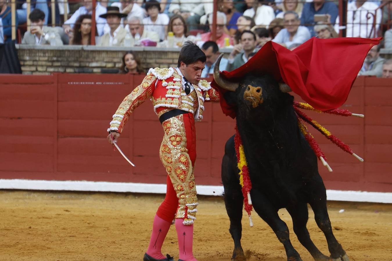 La novillada de Quintana, Zulueta y Fuentes Bocanegra en Córdoba, en imágenes