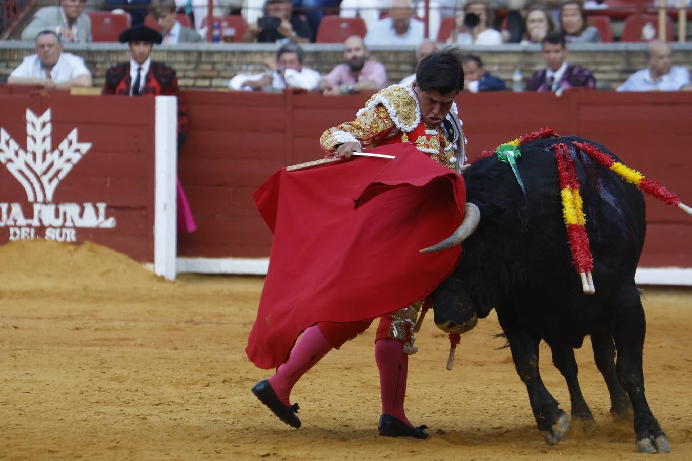 La novillada de Quintana, Zulueta y Fuentes Bocanegra en Córdoba, en imágenes