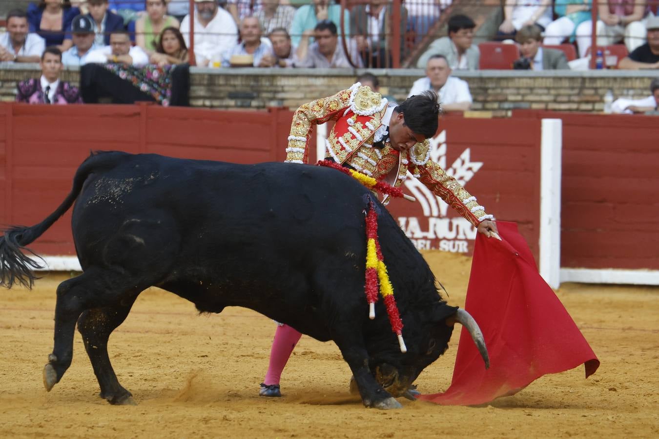 La novillada de Quintana, Zulueta y Fuentes Bocanegra en Córdoba, en imágenes