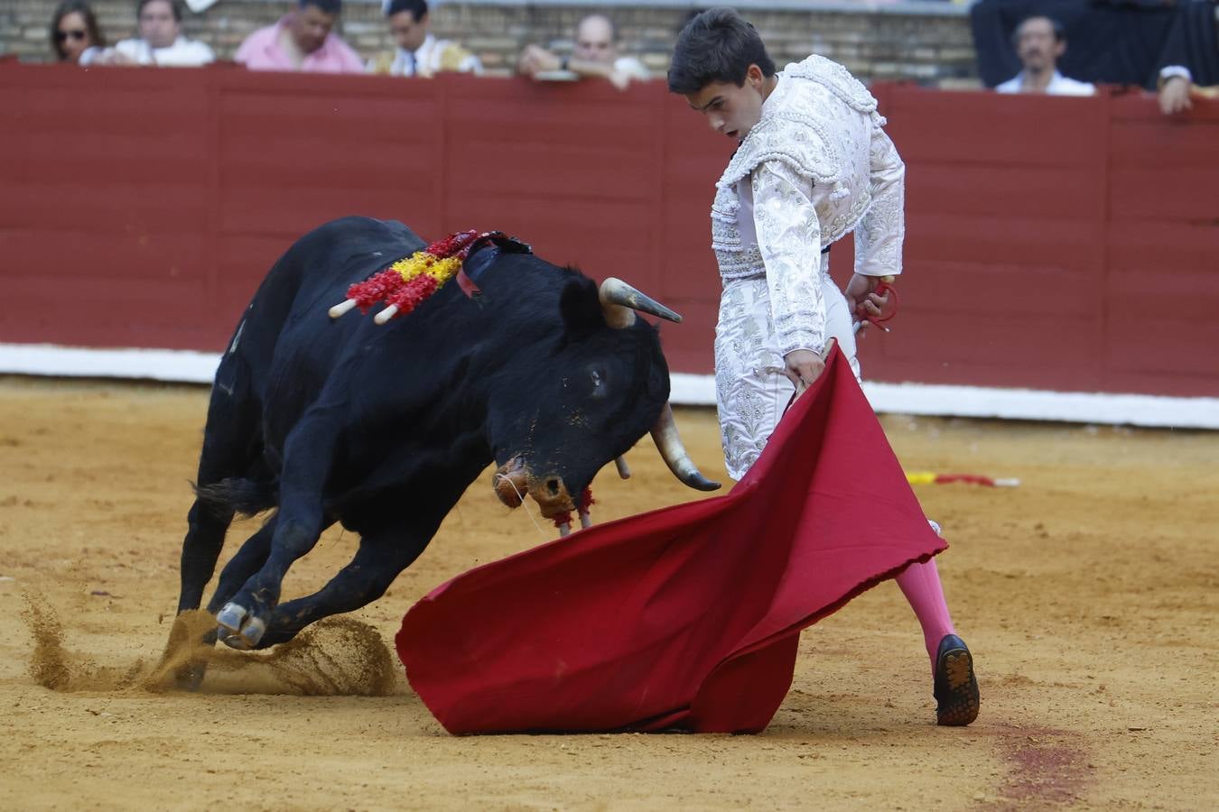 La novillada de Quintana, Zulueta y Fuentes Bocanegra en Córdoba, en imágenes
