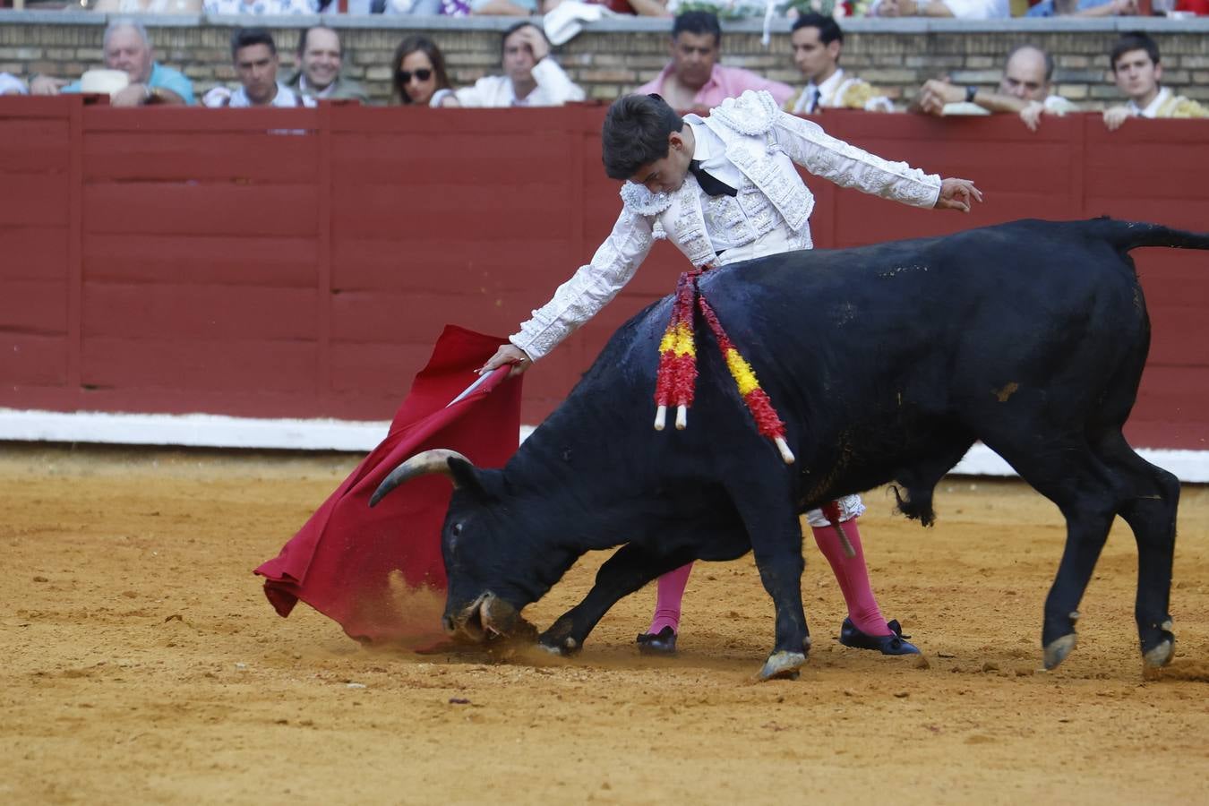 La novillada de Quintana, Zulueta y Fuentes Bocanegra en Córdoba, en imágenes