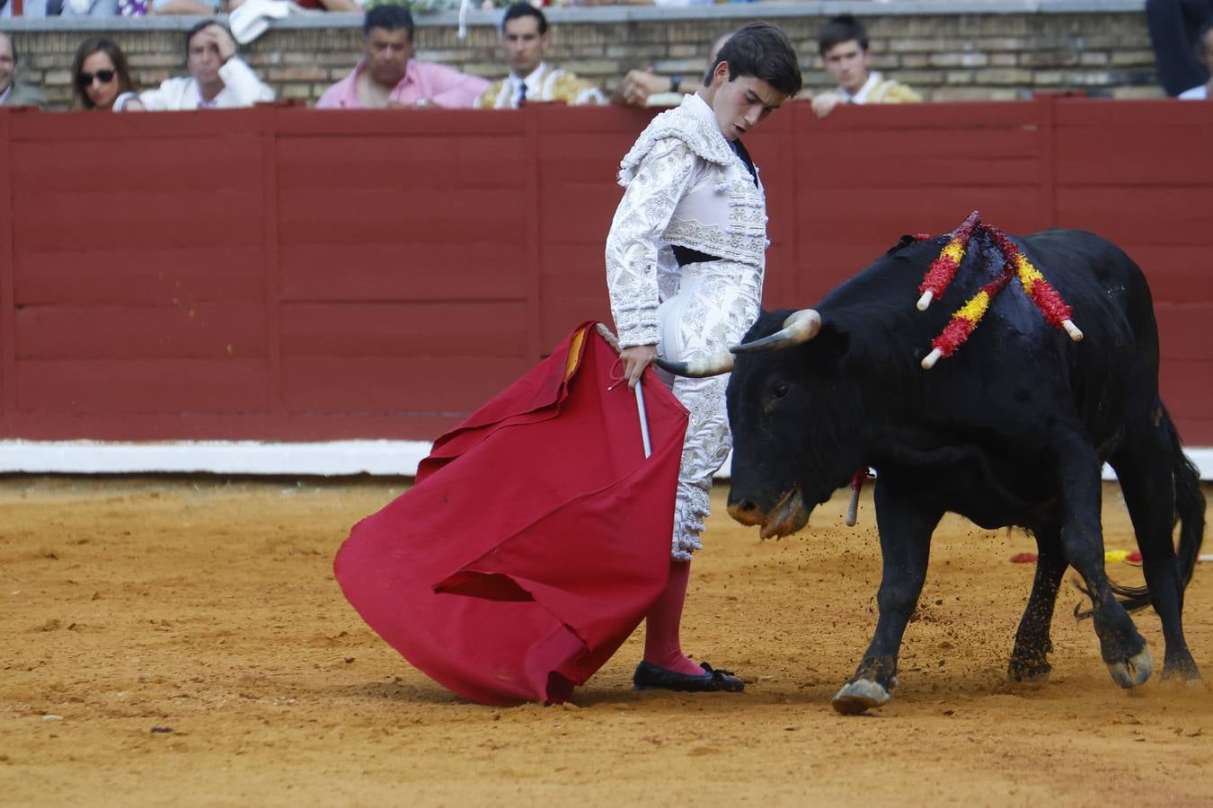 La novillada de Quintana, Zulueta y Fuentes Bocanegra en Córdoba, en imágenes