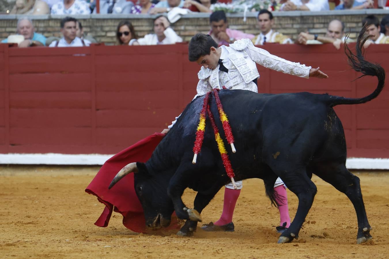 La novillada de Quintana, Zulueta y Fuentes Bocanegra en Córdoba, en imágenes