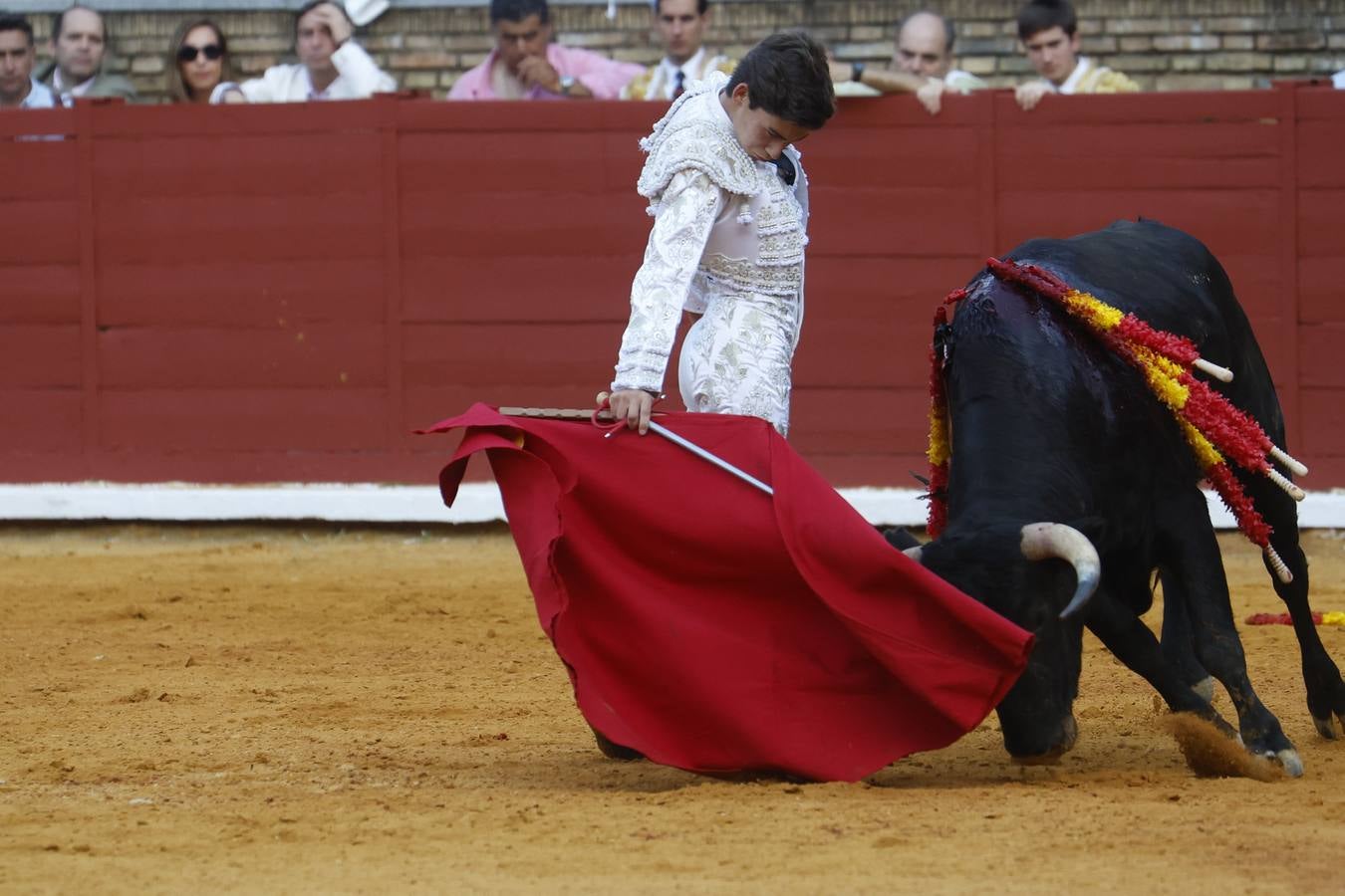 La novillada de Quintana, Zulueta y Fuentes Bocanegra en Córdoba, en imágenes