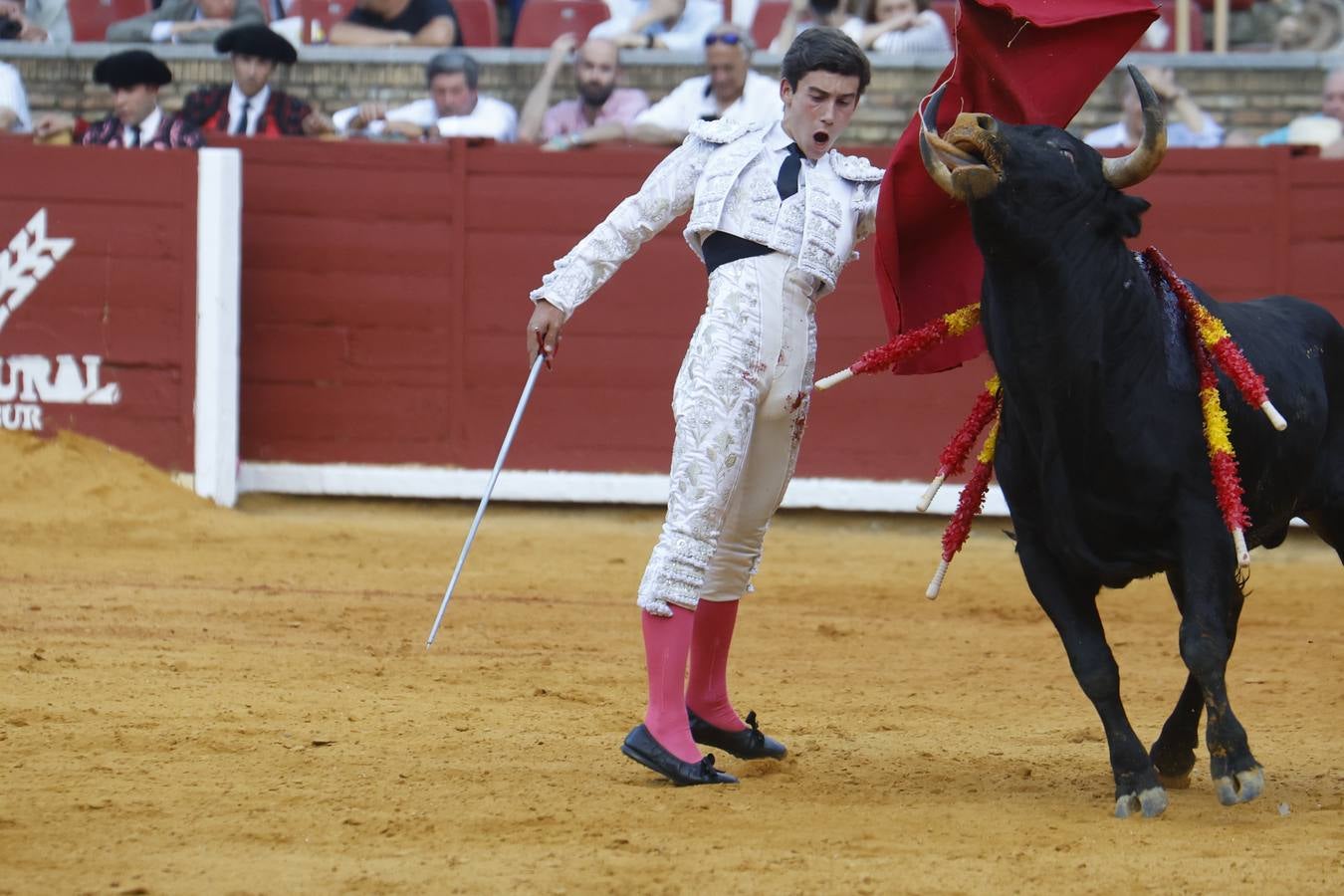 La novillada de Quintana, Zulueta y Fuentes Bocanegra en Córdoba, en imágenes