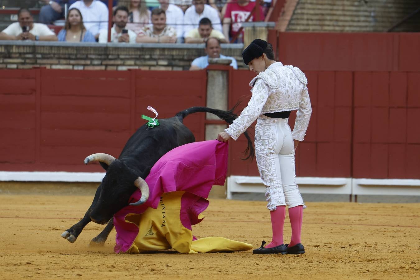 La novillada de Quintana, Zulueta y Fuentes Bocanegra en Córdoba, en imágenes