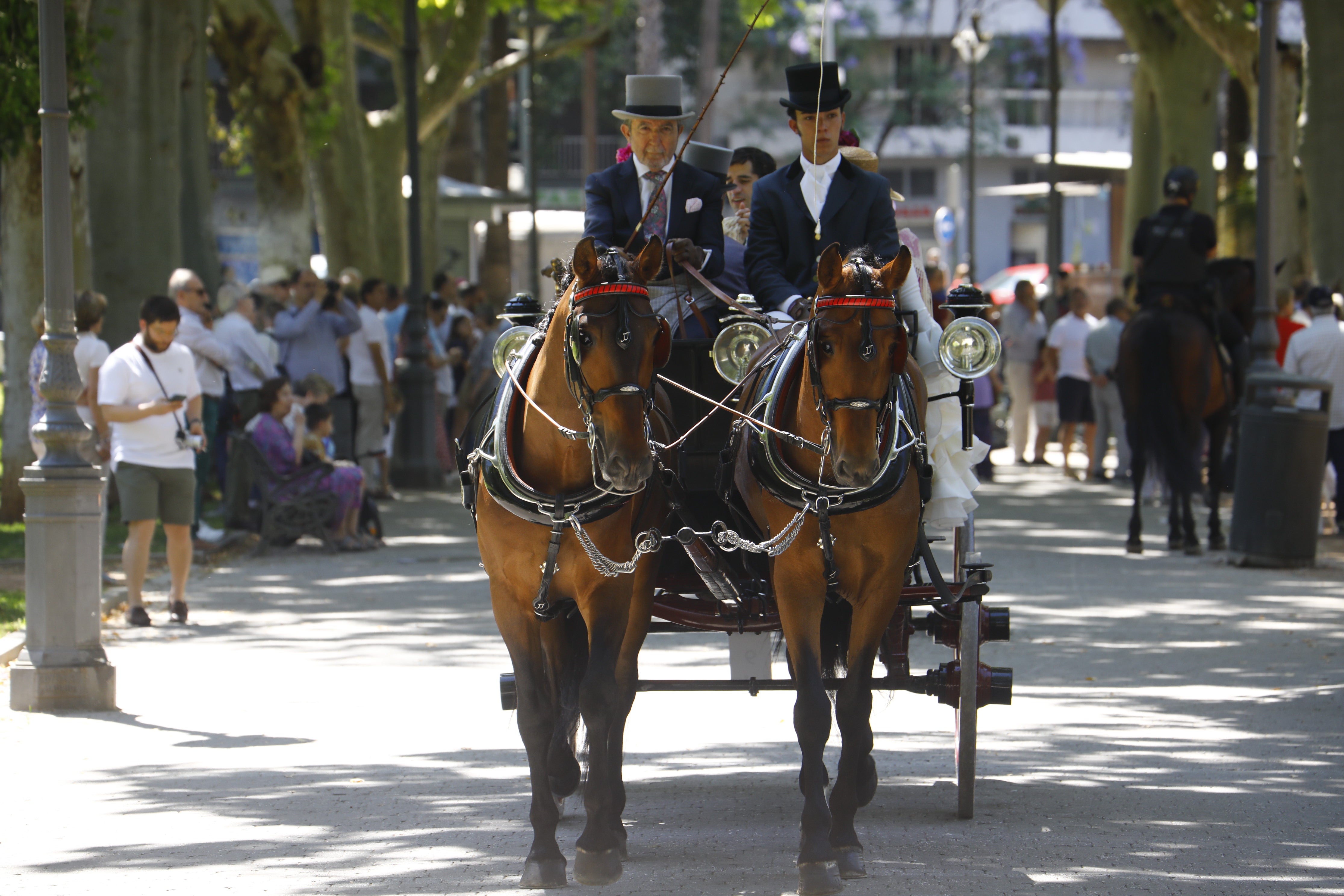 Las mejores imágenes de la Exhibición de Enganches de la Feria de Córdoba