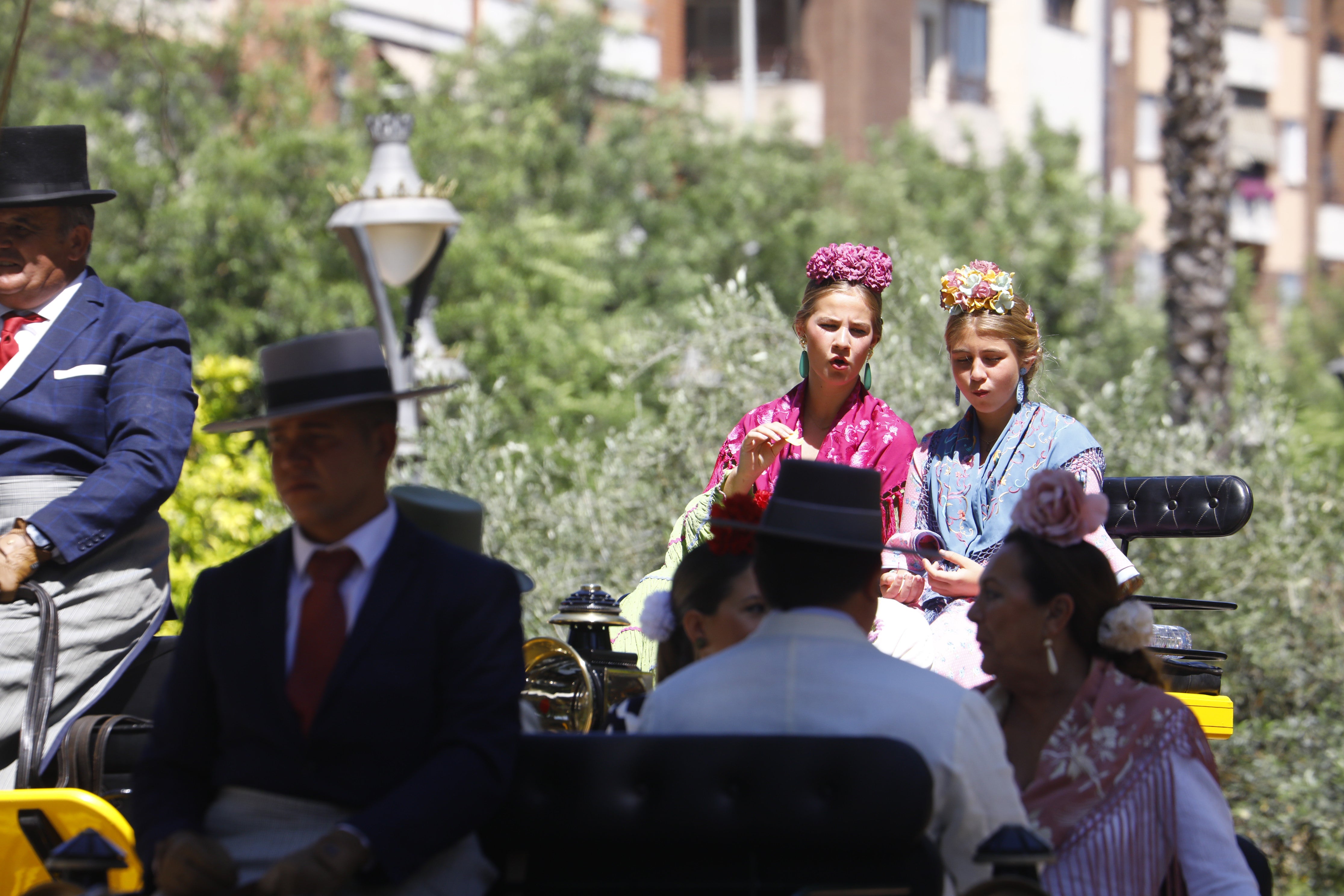 Las mejores imágenes de la Exhibición de Enganches de la Feria de Córdoba