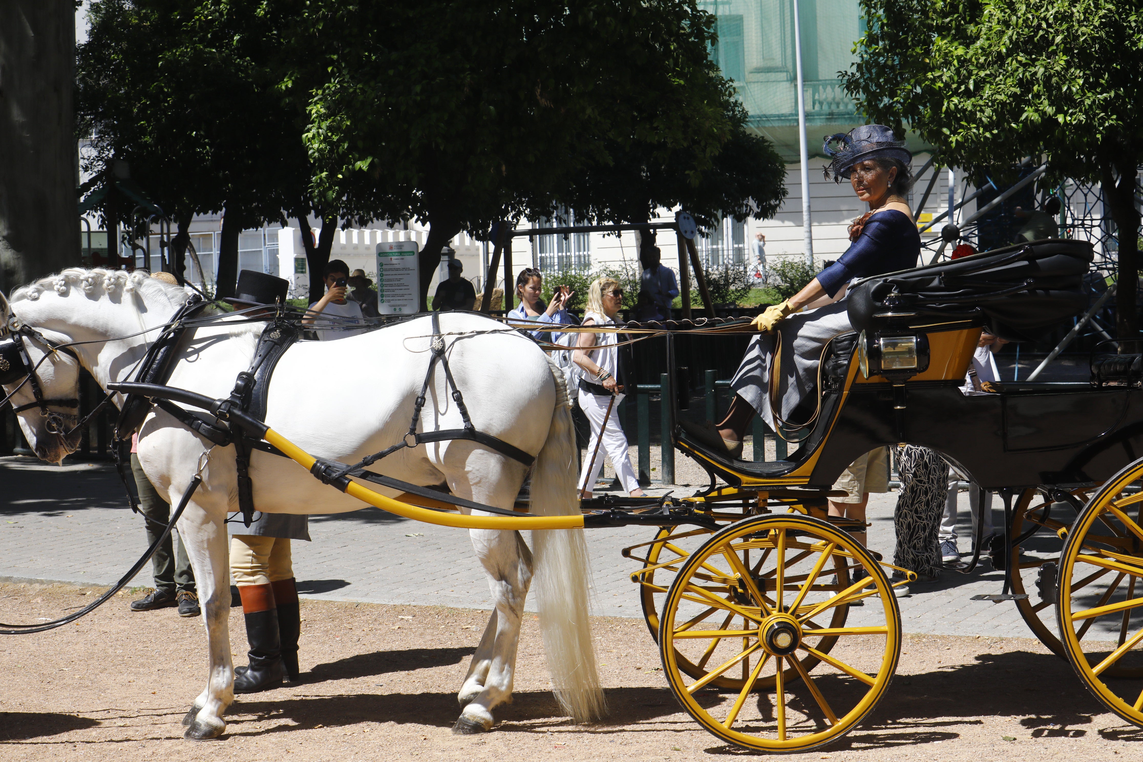 Las mejores imágenes de la Exhibición de Enganches de la Feria de Córdoba