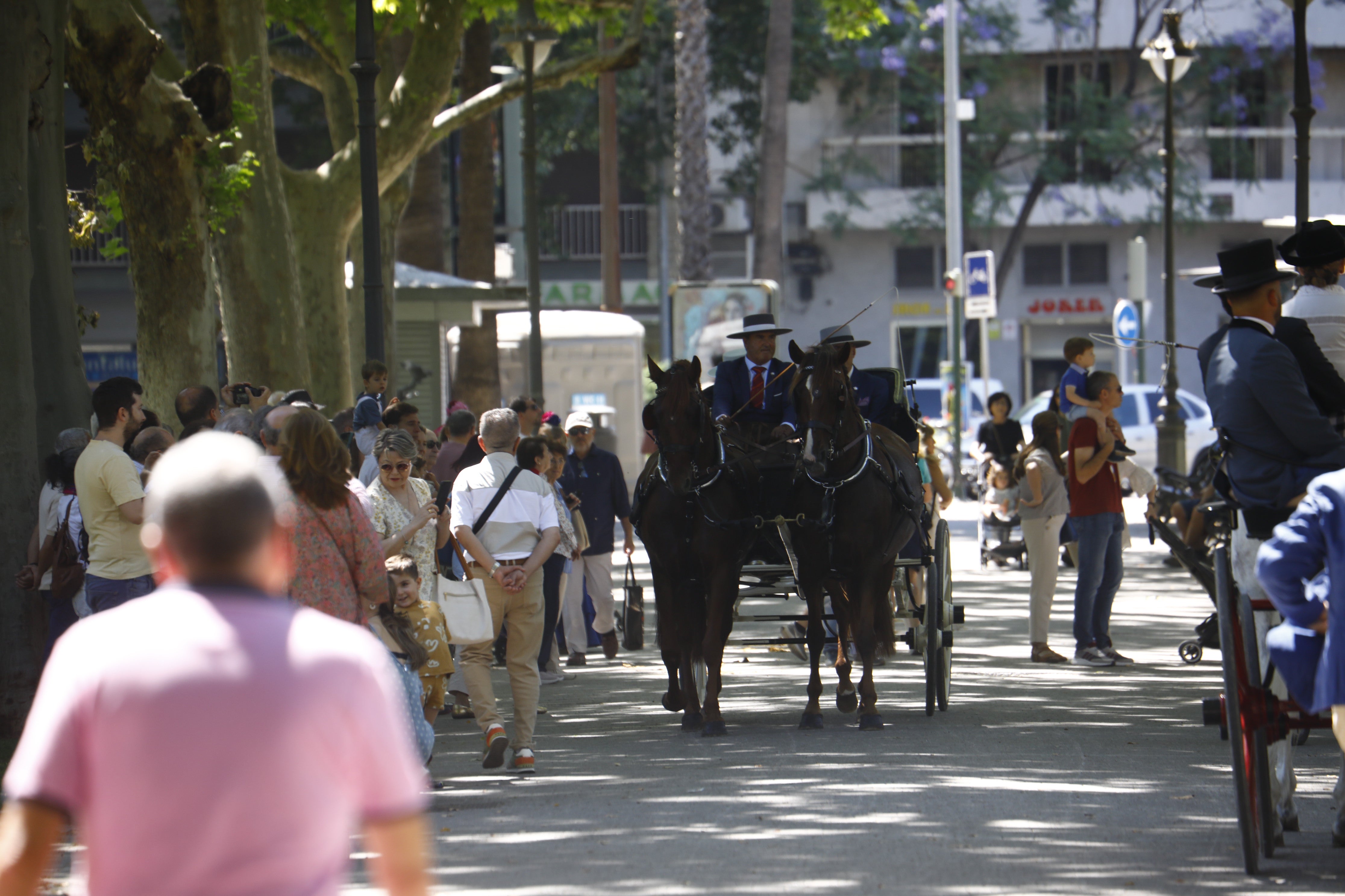 Las mejores imágenes de la Exhibición de Enganches de la Feria de Córdoba