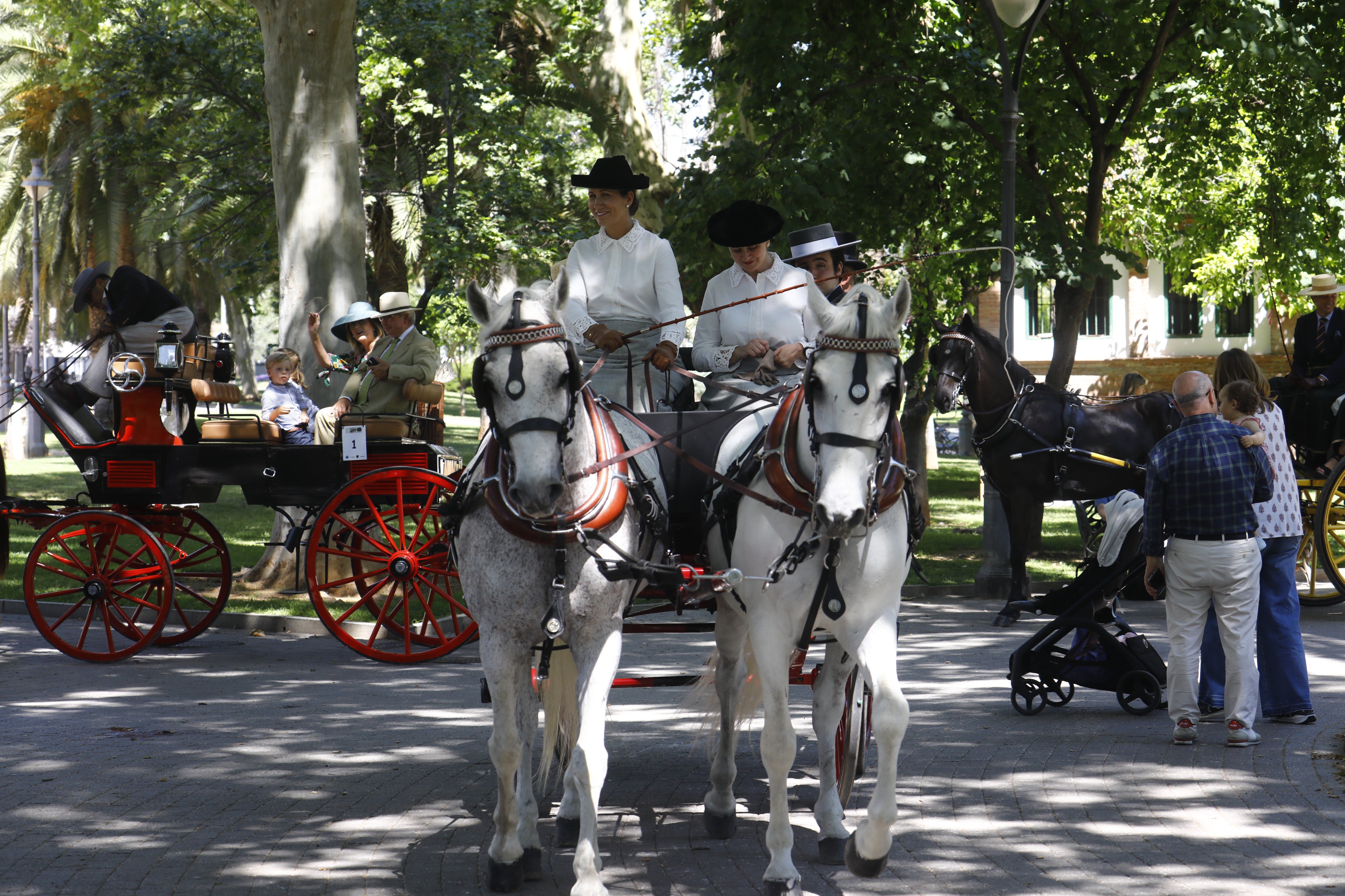 Las mejores imágenes de la Exhibición de Enganches de la Feria de Córdoba