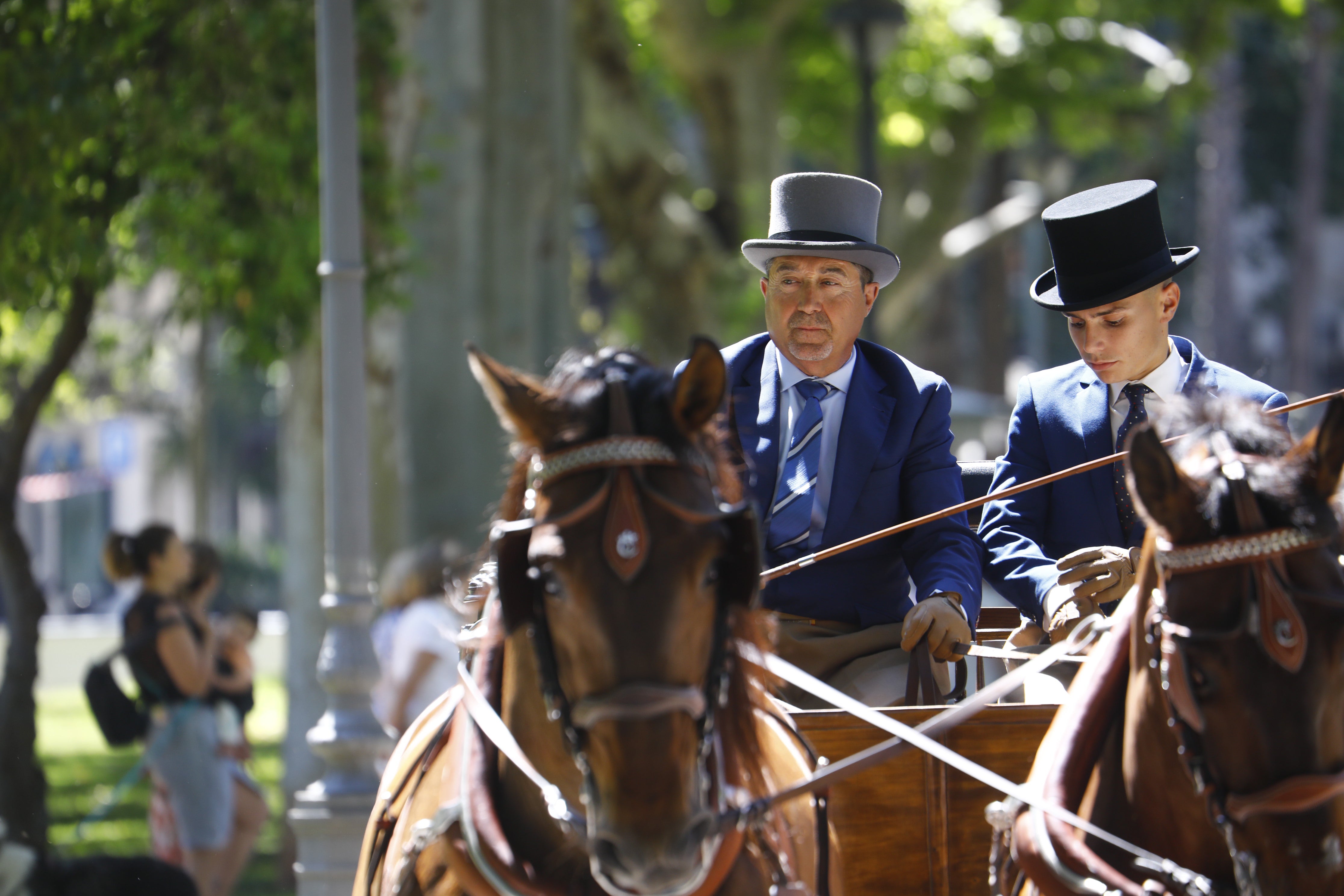 Las mejores imágenes de la Exhibición de Enganches de la Feria de Córdoba