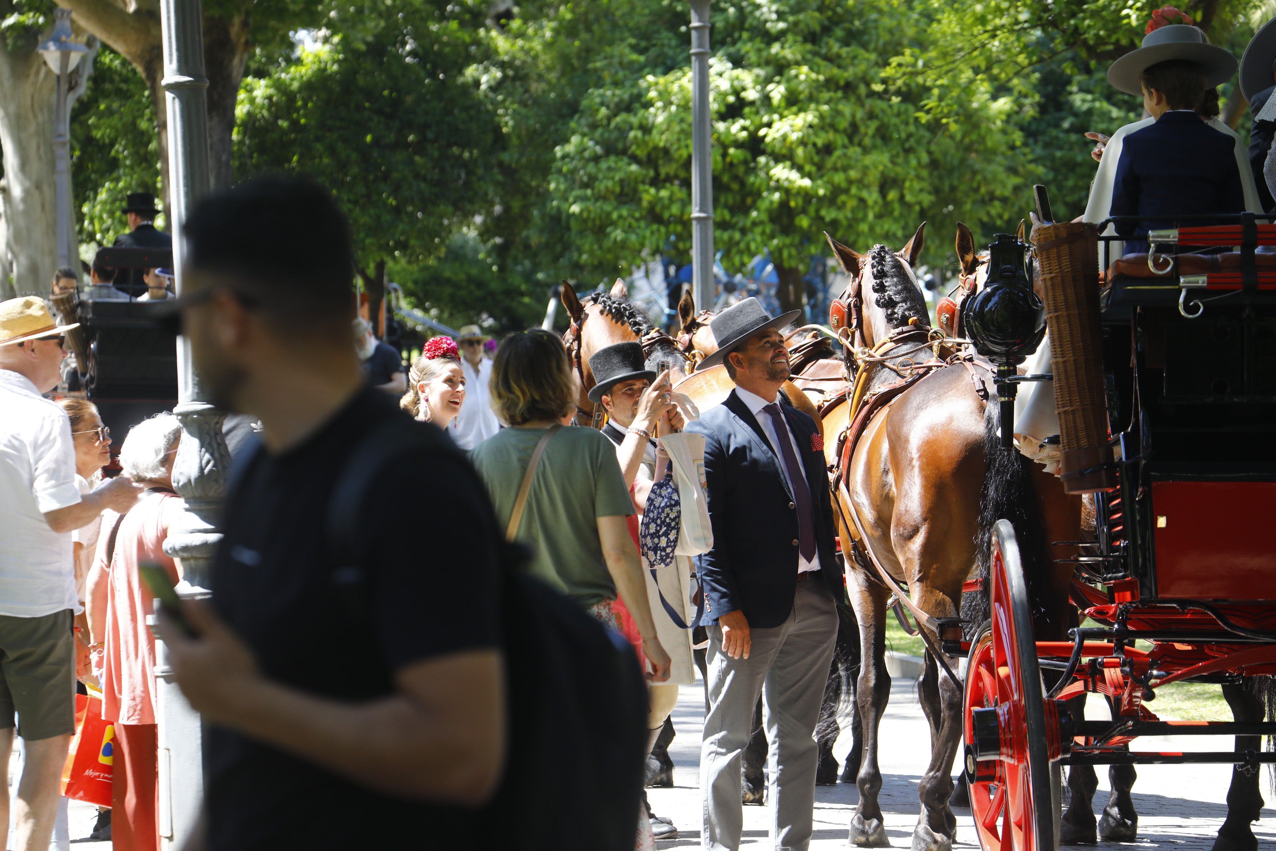 Las mejores imágenes de la Exhibición de Enganches de la Feria de Córdoba