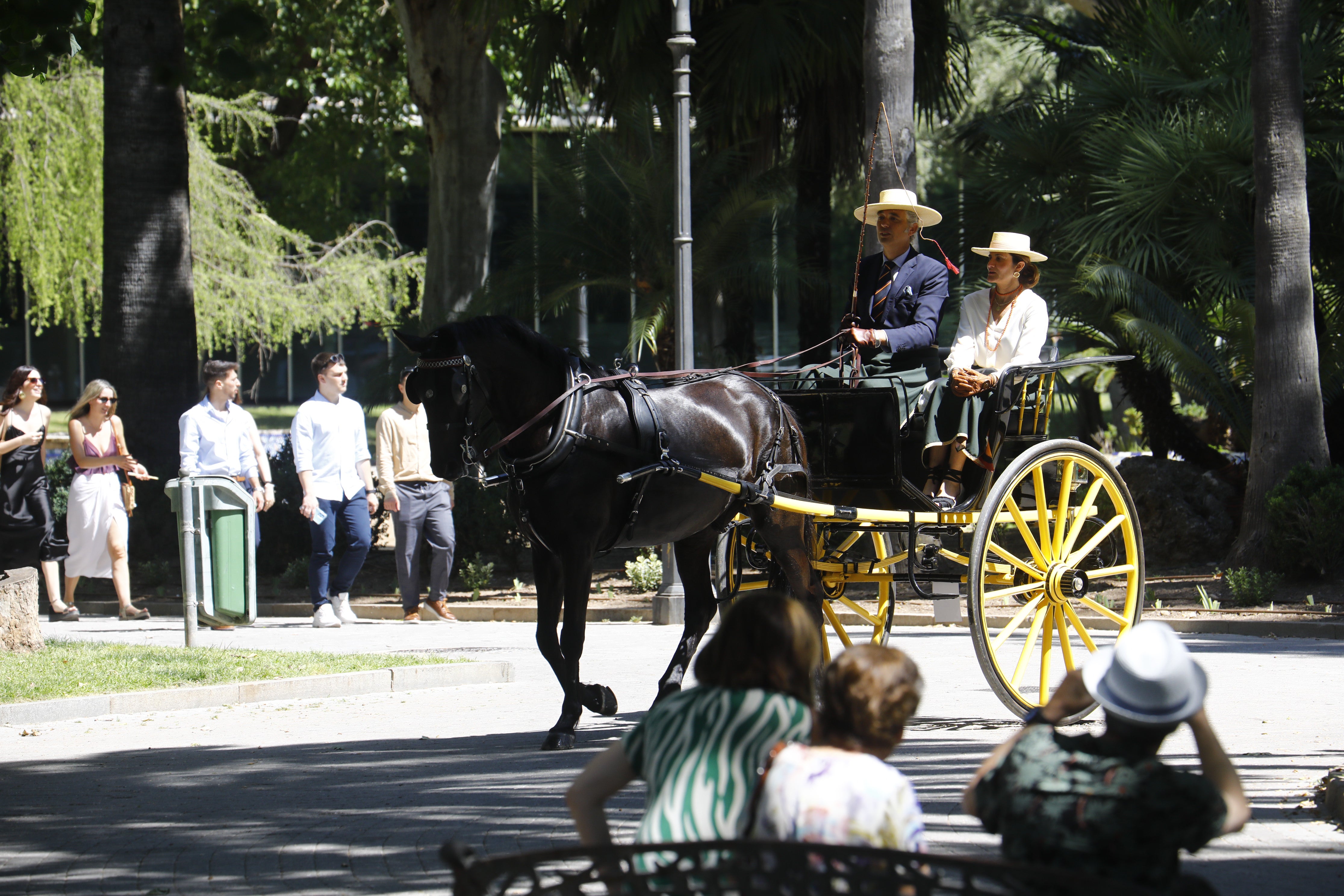 Las mejores imágenes de la Exhibición de Enganches de la Feria de Córdoba