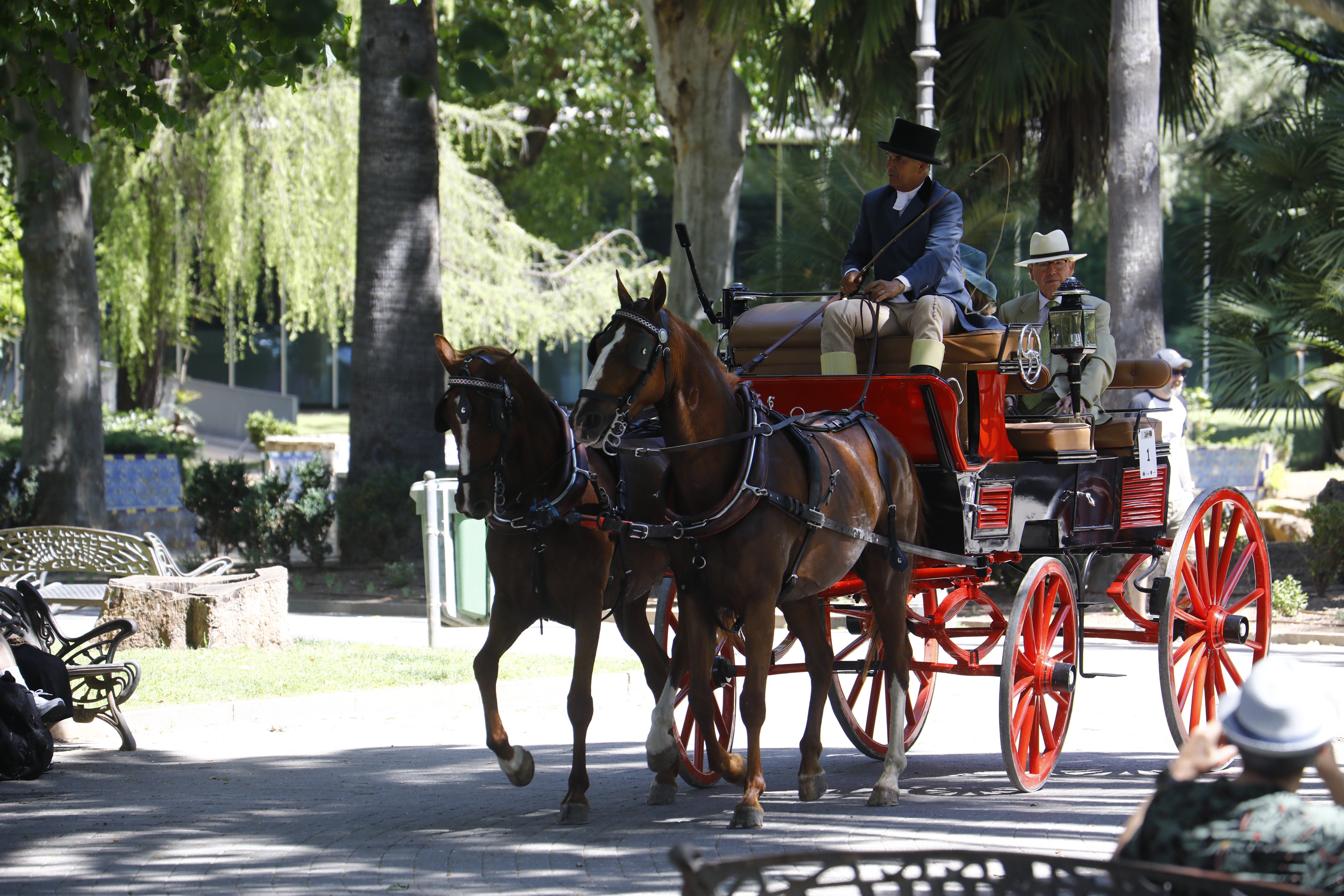 Las mejores imágenes de la Exhibición de Enganches de la Feria de Córdoba