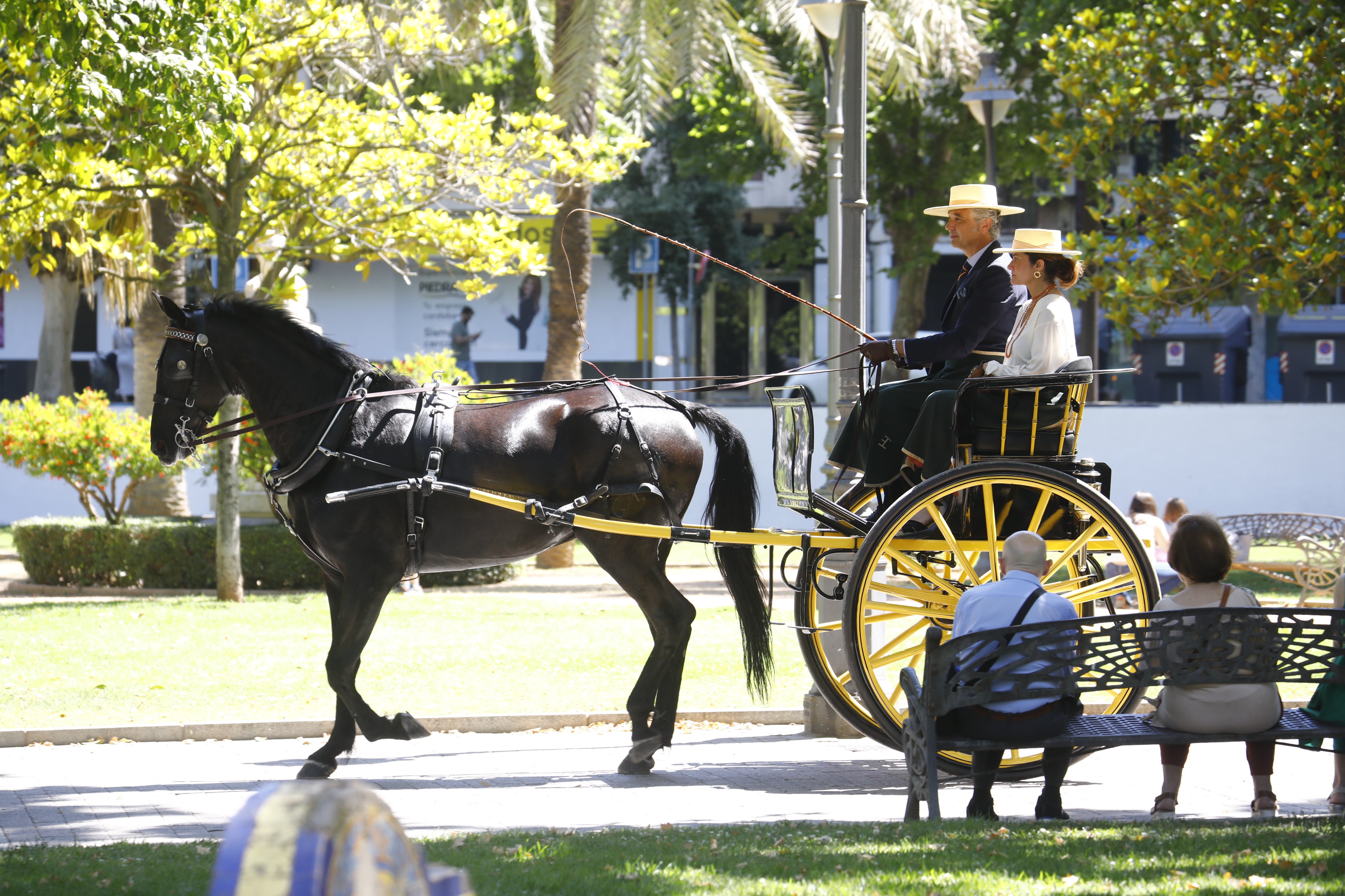 Las mejores imágenes de la Exhibición de Enganches de la Feria de Córdoba