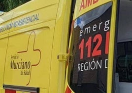 Un padre y un hijo resultan heridos por arma blanca en Sangonera la Verde (Murcia)