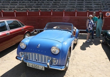Los coches clásicos se exhiben en Toledo a beneficio de Apanas