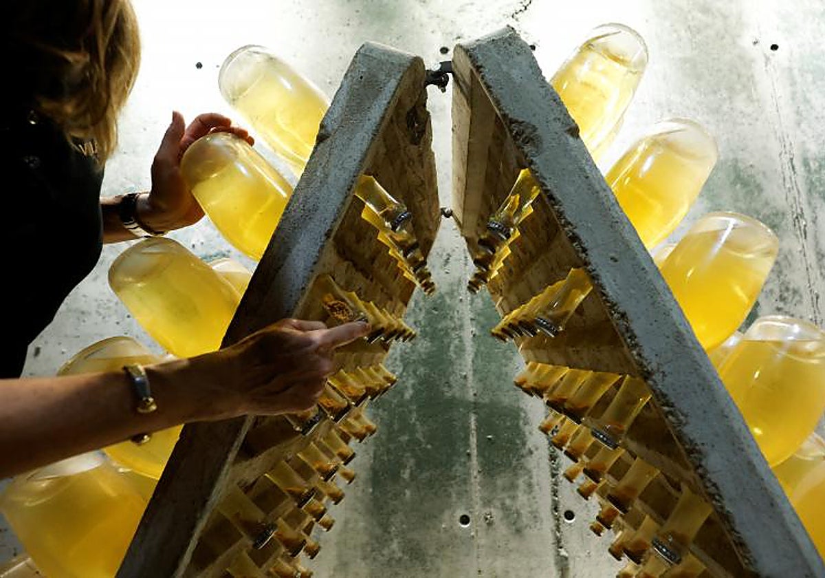 Una imagen de una de las 200 bodegas agrupadas en la DO Cava