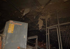 Denuncian a una granja avícola de Mallorca en la que las gallinas conviven con cadáveres, ratas y suciedad extrema