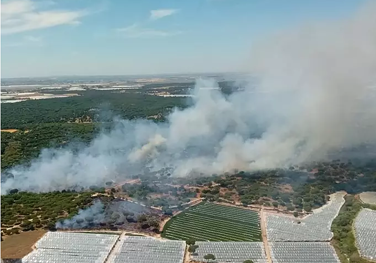 Incendio declarado en paraje Cruz del Arpa de Moguer (Huelva)