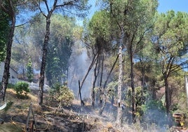 Infoca y Bomberos de Córdoba trabajan en la extinción de un incendio en Santo Domingo