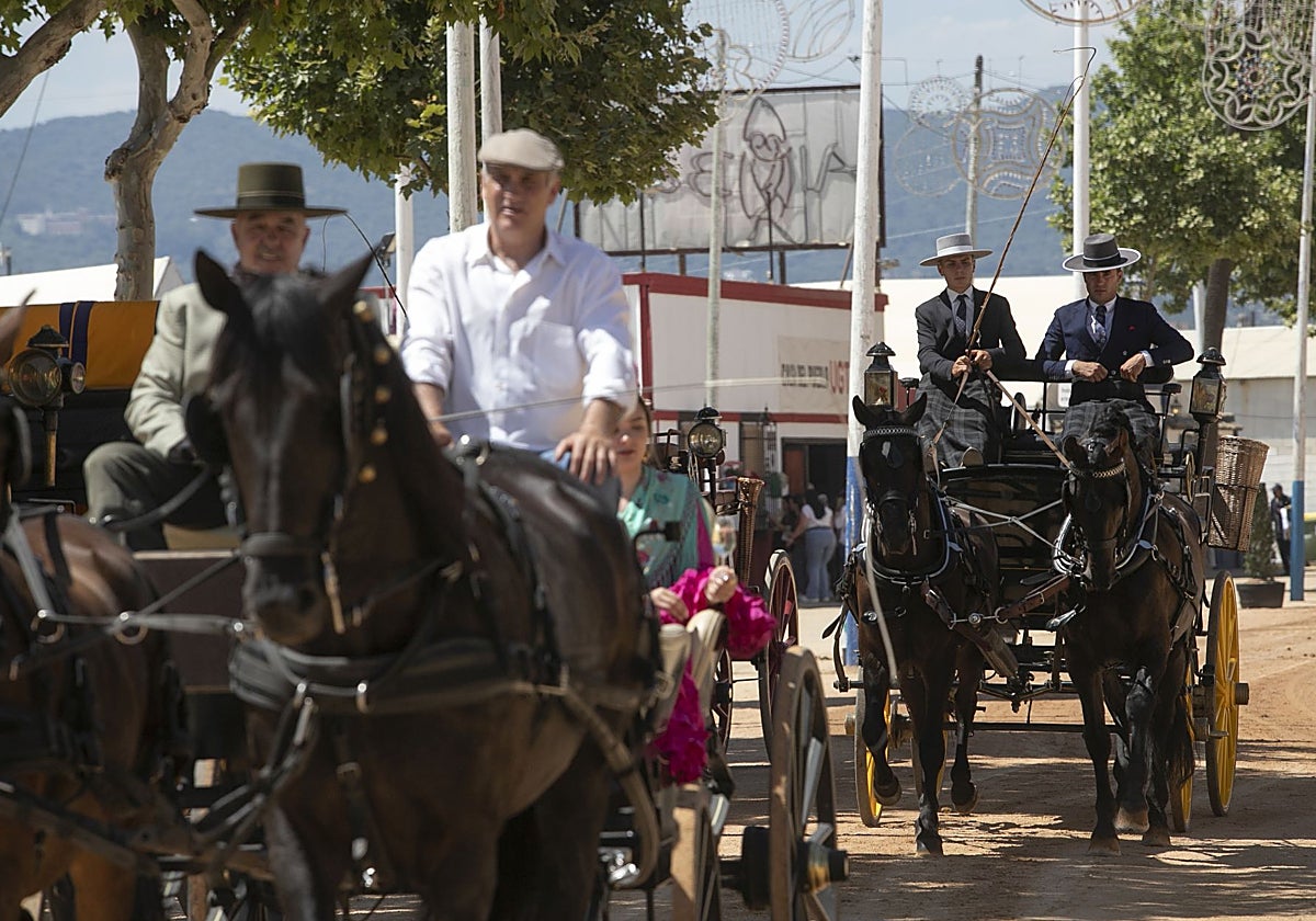 Árboles en el recinto ferial de Córdoba