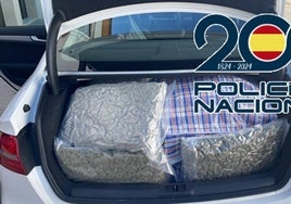 Desarticulada una célula criminal dedicada al tráfico de marihuana con ramificaciones en Santaella
