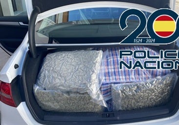 Desarticulada una red dedicada al tráfico de marihuana con ramificaciones en Santaella