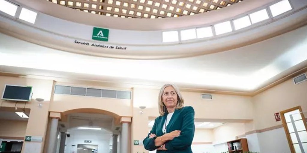 La junta de andalucía reprocha a la oposición «estar echando tierra» sobre la sanidad pública «manipulando a la población»