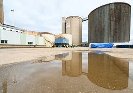 El campo advierte sobre el cierre de Azucarera en La Bañeza de que «donde se cierra una fábrica, acaba por desaparecer el cultivo»