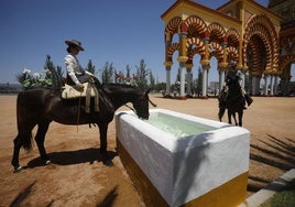 La Feria de Córdoba vista por jinetes y amazonas: «Igual que vienes con los amigos, el caballo es un amigo más»