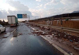 Después de siete meses el Gobierno sigue sin arreglar el tramo de la autovía del Mediterráneo que se llevó la dana en Almería