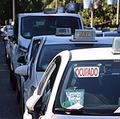 Nuevas ayudas para los taxis Eco y Cero, que son ya el 93% de la flota