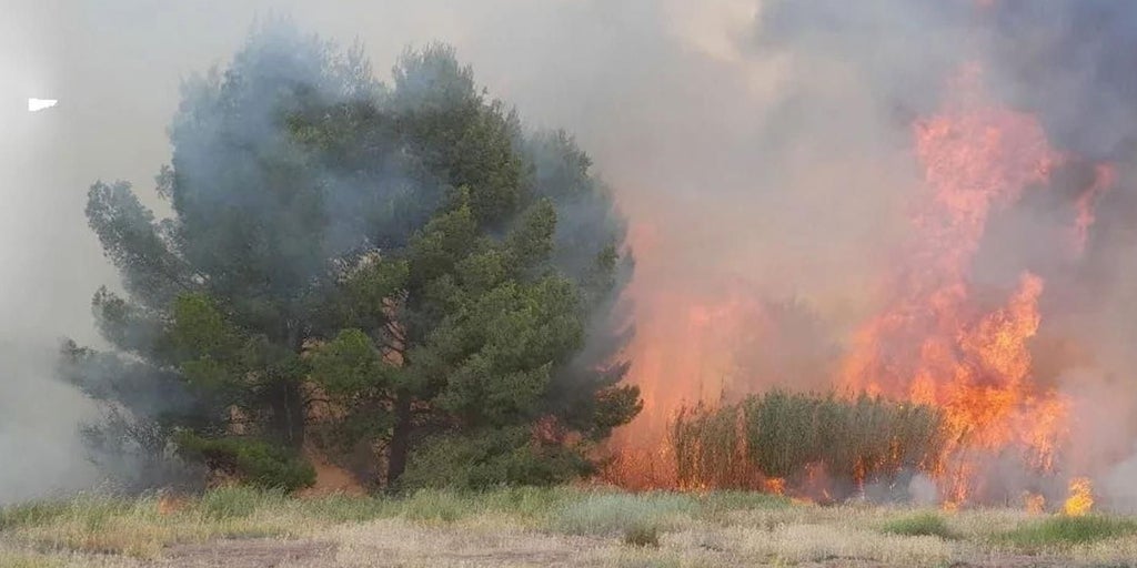 Controlado un incendio forestal declarado este domingo en La Puebla de Almoradiel (Toledo)