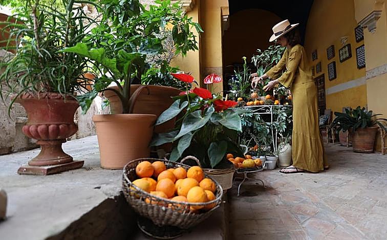 Imagen principal - Un tesoro natural en Palma del Río guardado por murallas históricas